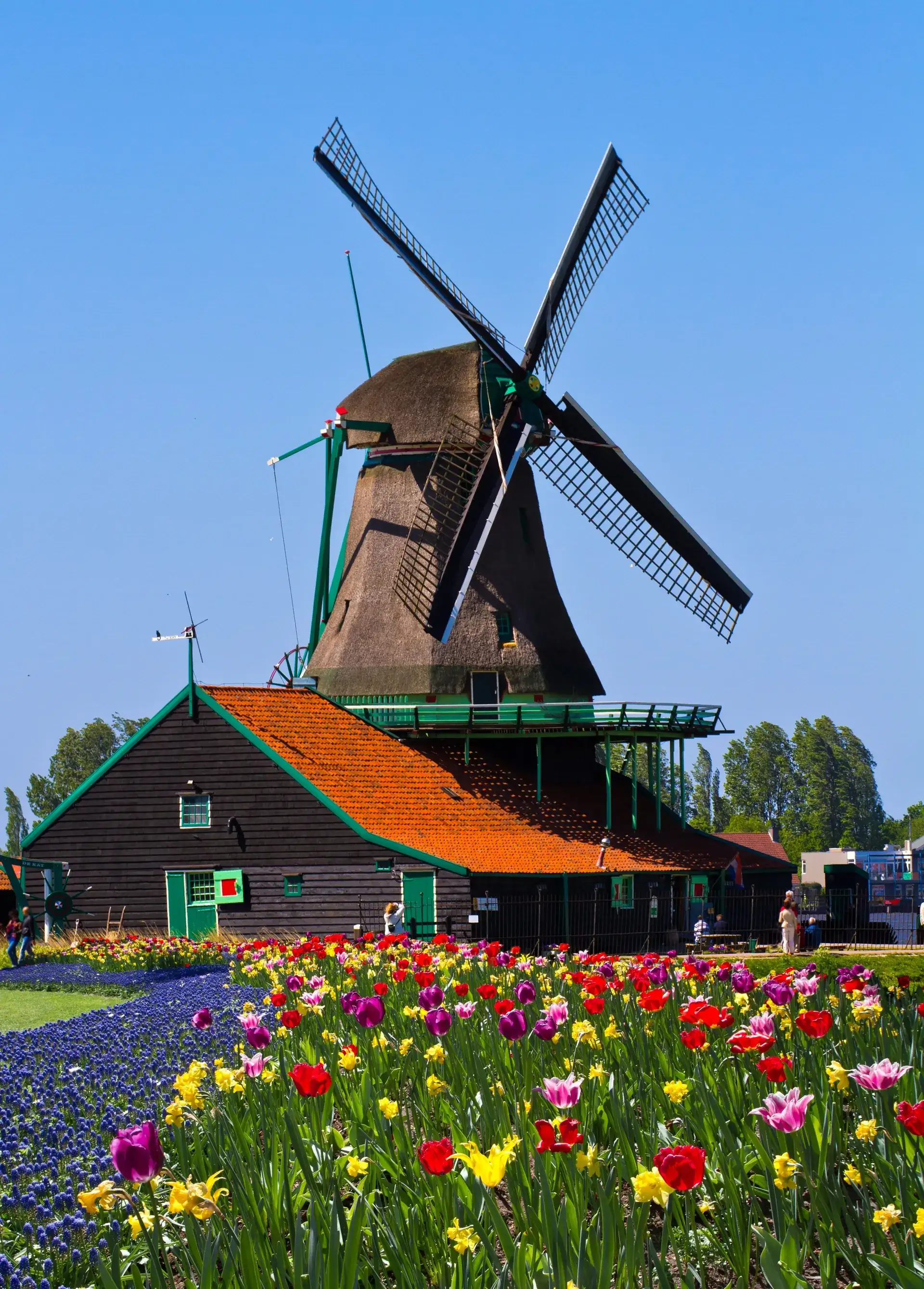 image-package-country