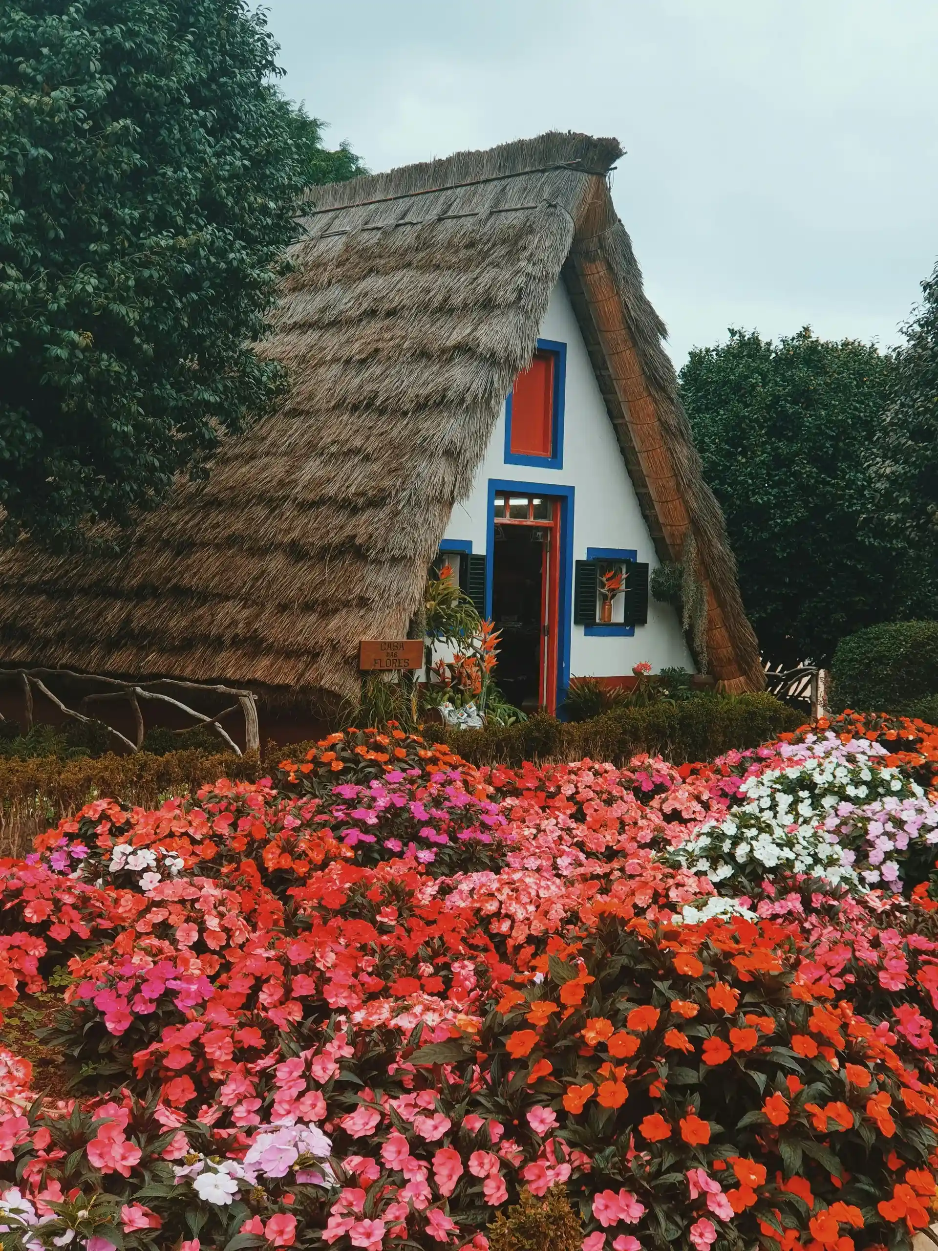 image-package-country